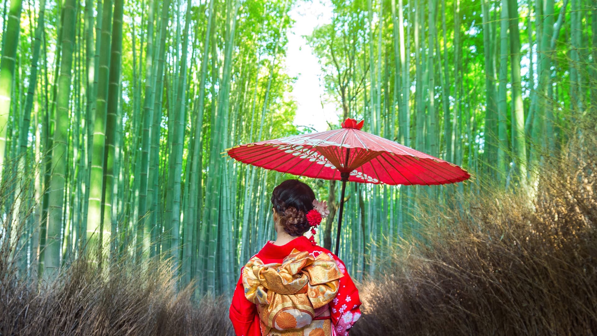Rừng trúc Nhật Bản và trang phục kimono truyền thống
