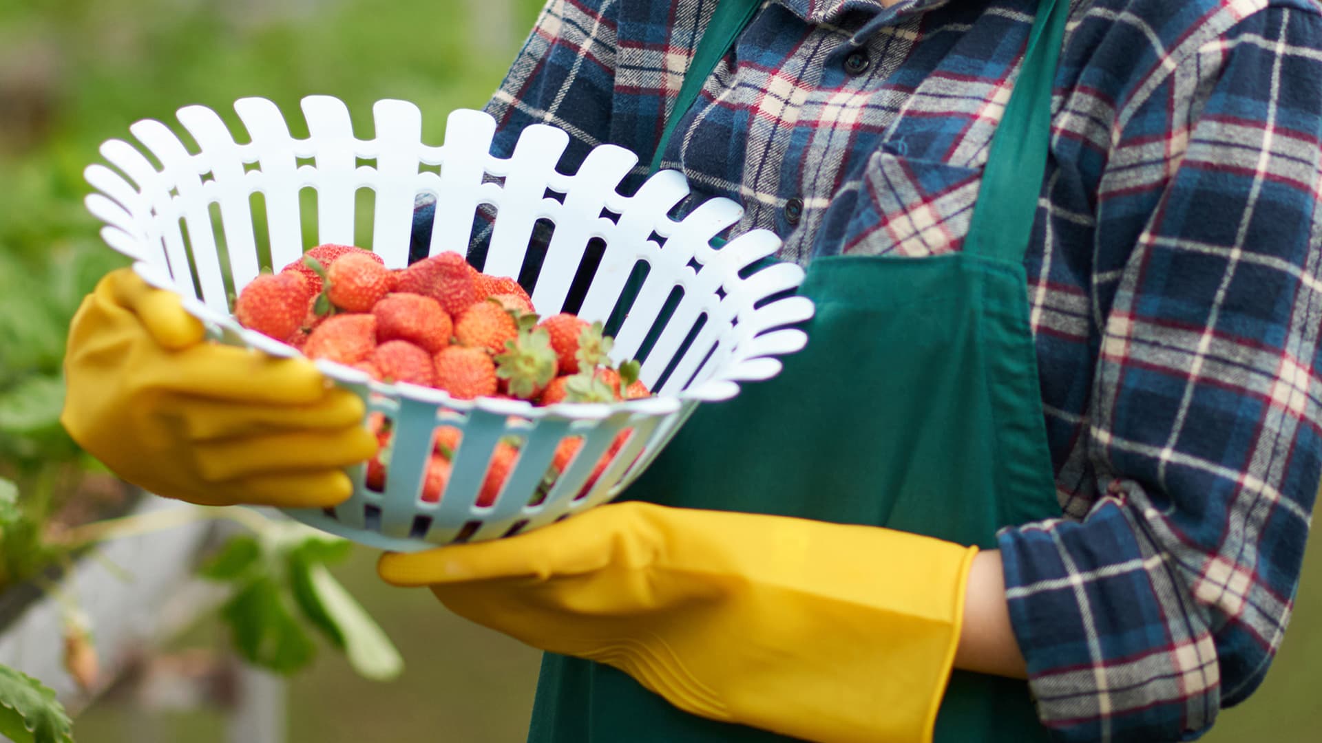 Nông nghiệp - Hình 3