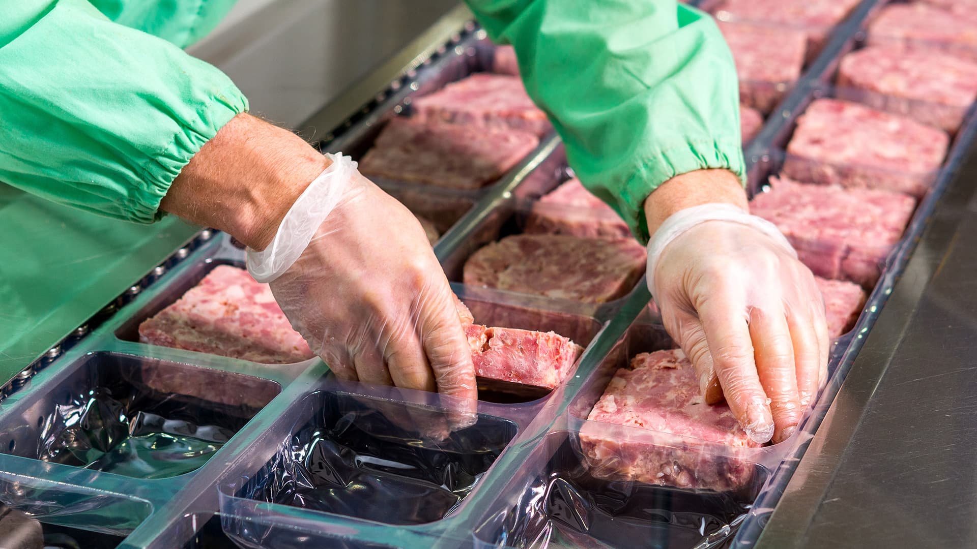 Chế biến Thực phẩm - Hình 2