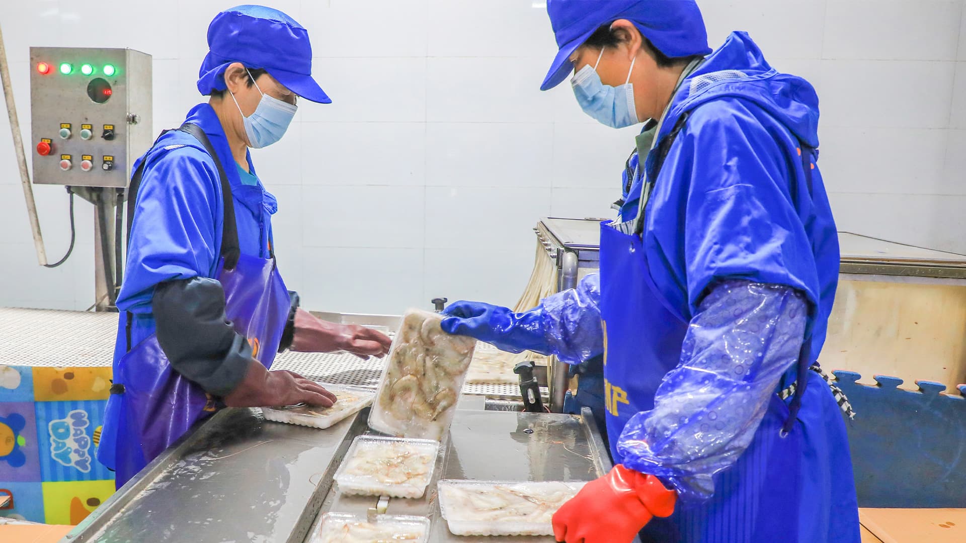 Thủy sản / Chế biến Hải sản - Hình 1