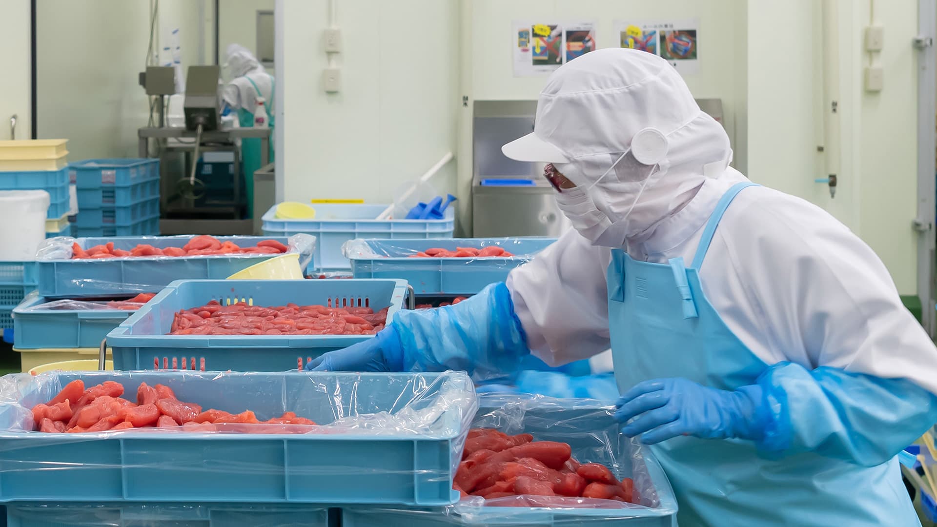 Thủy sản / Chế biến Hải sản - Hình 2