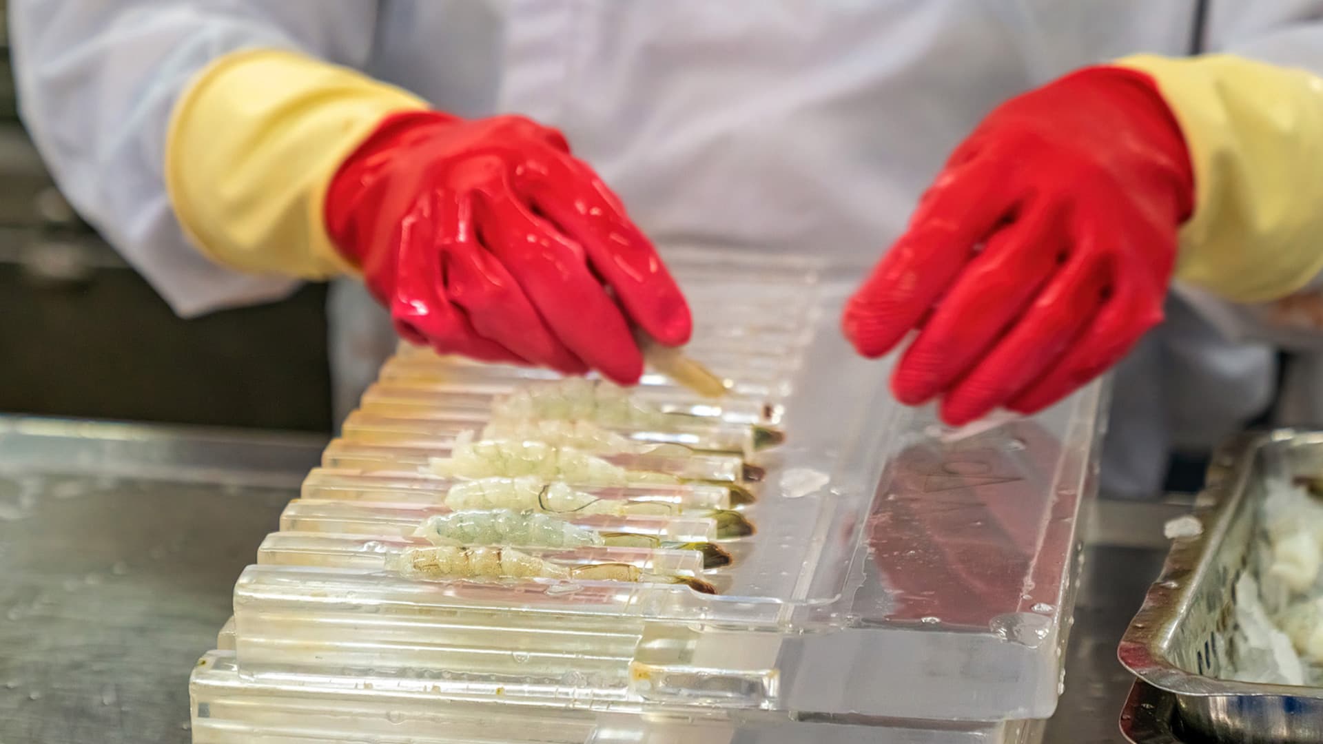 Thủy sản / Chế biến Hải sản - Hình 3